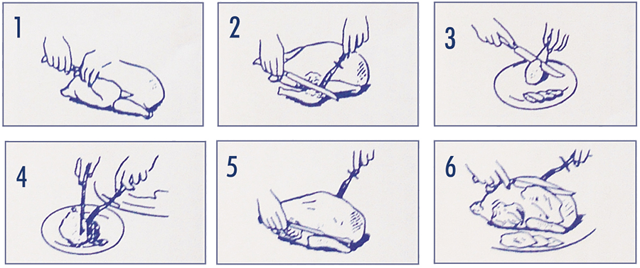 Carving a Turkey Standard Style