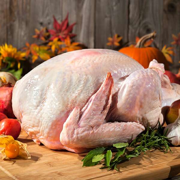 Thanksgiving Turkey FAQs